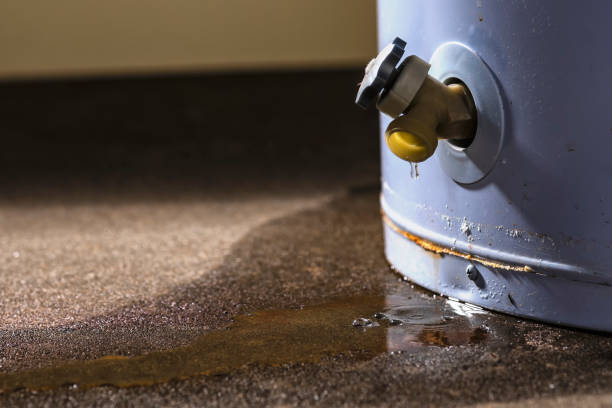 Best Ceiling water damage repair  in Butler, MO
