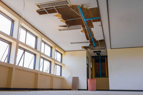 Best Flooded house restoration  in Butler, MO