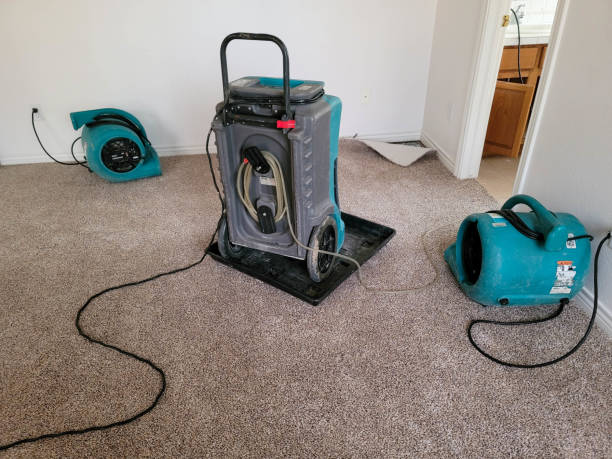 Best Water damage restoration cost  in Butler, MO
