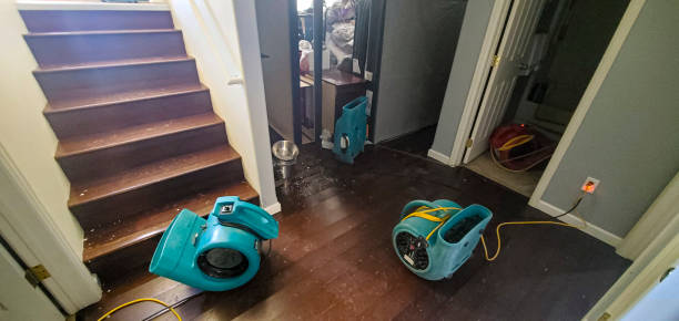 Best Mold removal after water damage  in Butler, MO