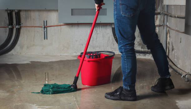 Best Basement water damage restoration  in Butler, MO