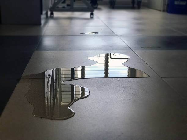 Best 24/7 water damage repair  in Butler, MO