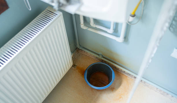 Best Flood damage cleanup  in Butler, MO