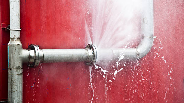 Best Flooded house restoration  in Butler, MO
