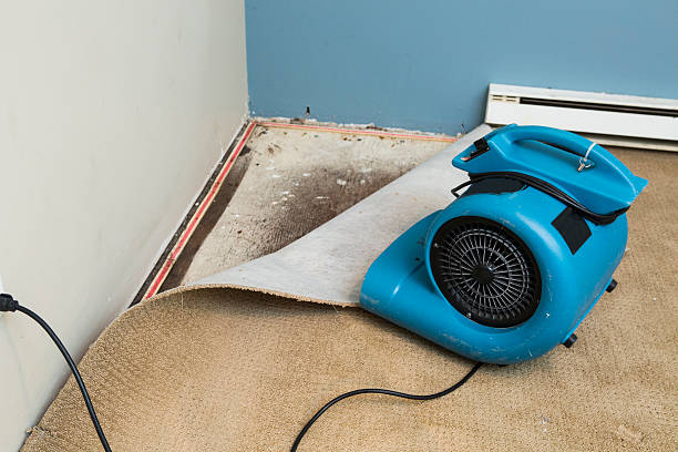 Best Professional water damage repair  in Butler, MO